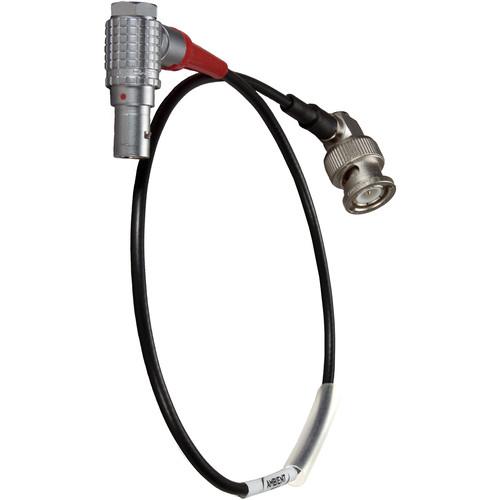 Ambient Recording LEMO 5-Pin to BNC Output Cable LTC-OUT-RA270