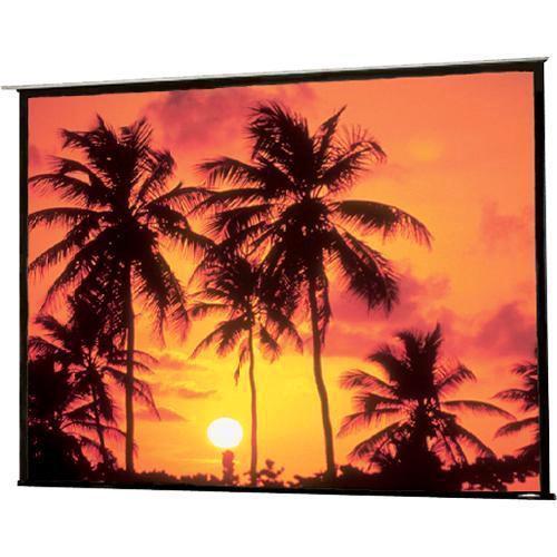 Draper Access/Series E Motorized Front Projection Screen 104031