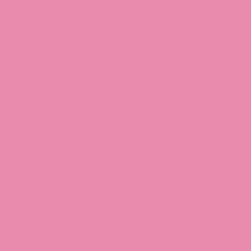 Rosco #36 Filter - Medium Pink - 20x24