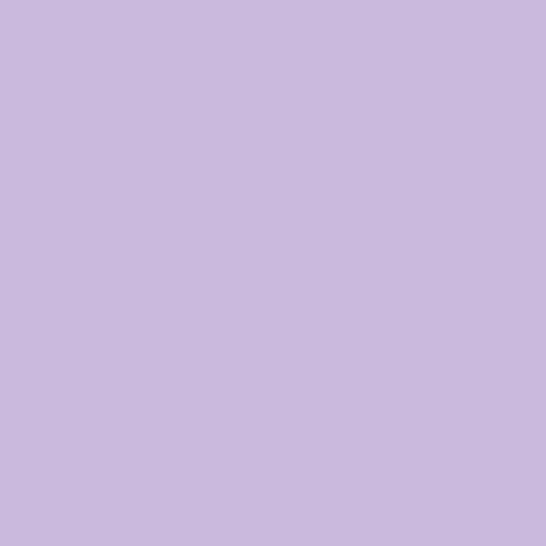 Rosco #4915 Filter - Lavender (1/2 Stop) - 103049154825