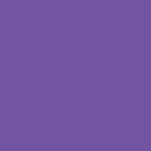 Rosco #4960 Filter - Lavender (2 Stop) - 20x24