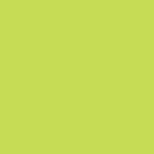 Rosco E-Colour #088 Lime Green (48