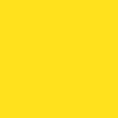 Rosco  E-Colour #100 Spring Yellow 102301002124