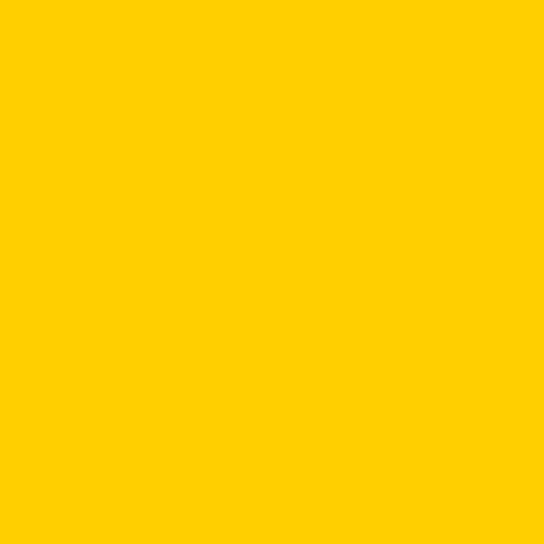 Rosco E-Colour #101 Yellow (21x24