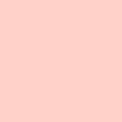 Rosco E-Colour #154 Pale Rose (21x24