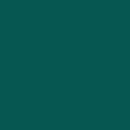 Rosco  E-Colour #325 Mallard Green 102303252124