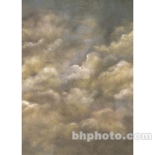 Studio Dynamics 8x10' Canvas Background LSM - Old Master