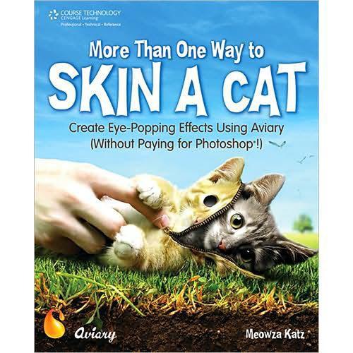 Cengage Course Tech. Book: More Than One Way to Skin 1598634720
