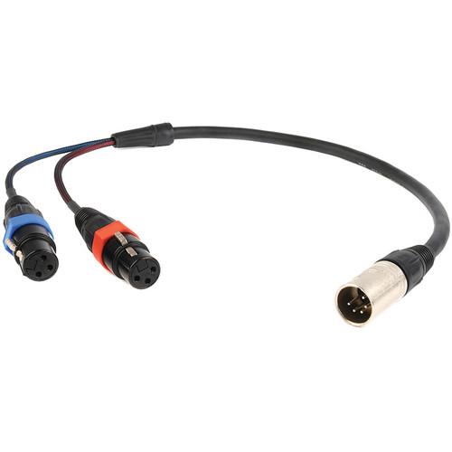 Remote Audio CAXSTEX5M 5-Pin XLR Male to Dual 3-Pin CAXSTEX5M