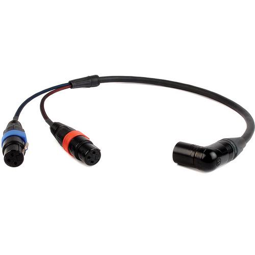 Remote Audio CAXSTEX5MR Dual 3-Pin XLR-F to 5-Pin CAXSTEX5MR