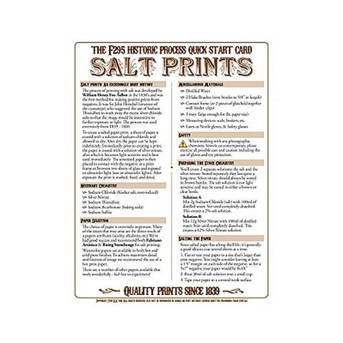 F295 Historic Process Laminated Reference Card for Salt 29501