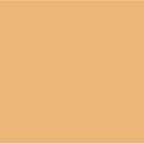 Rosco  RoscoSleeve T5 x 60" 110084016005-3411