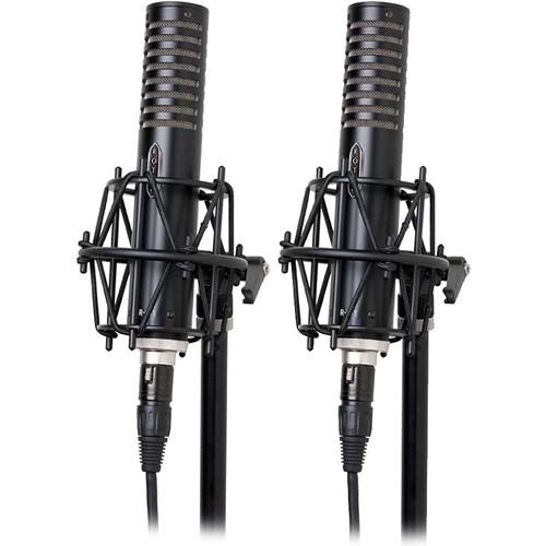Royer Labs  R-101-MP Ribbon Microphones R-101-MP, Royer, Labs, R-101-MP, Ribbon, Microphones, R-101-MP, Video