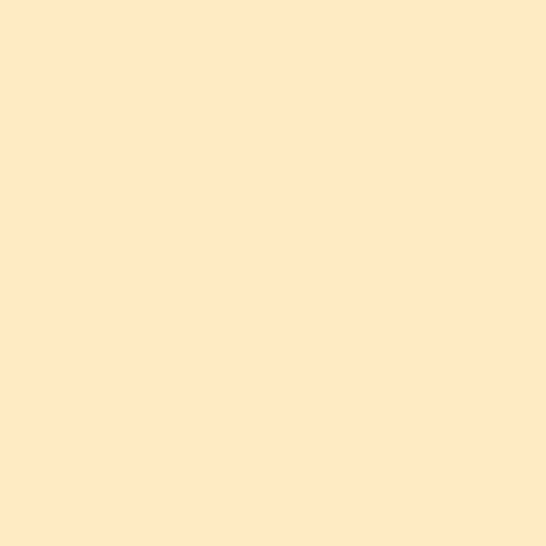 Rosco E-Colour #007 Pale Yellow (21x24