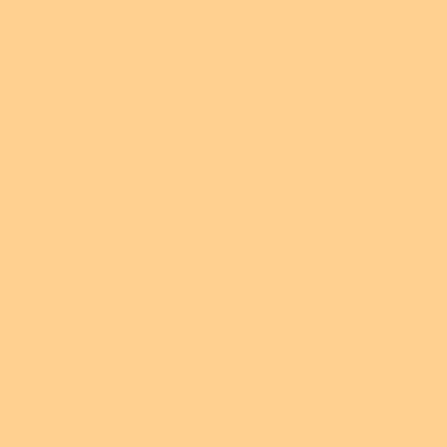 Rosco E-Colour #013 Straw Tint (21x24