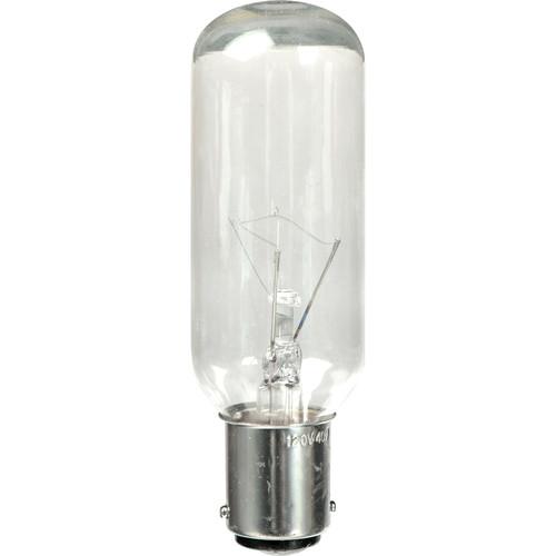Speedotron Modeling Lamp - 40 watts/120 volts - 852550