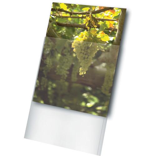 Print File Archival Storage Standard Photo Sleeve for 11 x 1164