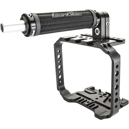 Swedish Chameleon  SC:BMCC CAGE LE SCBMCC CAGE LE