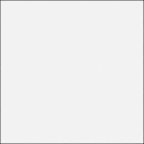 Rosco E-Colour #250 1/2 White Diffusion 102302502124