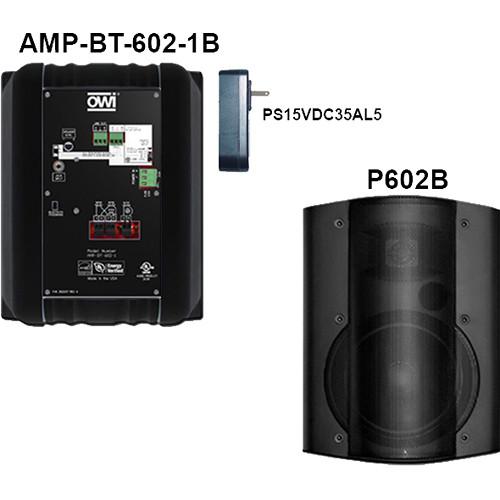 OWI Inc.  AMP-BT-602-2B Kit of Two AMP-BT-602-2B
