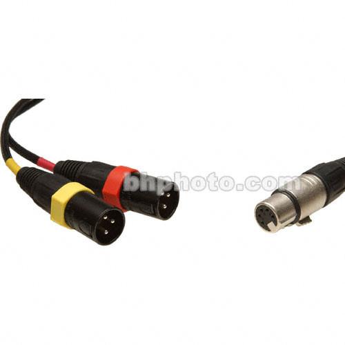 Remote Audio 5-Pin Stereo XLR Female to Dual XLR Male CAXSTE