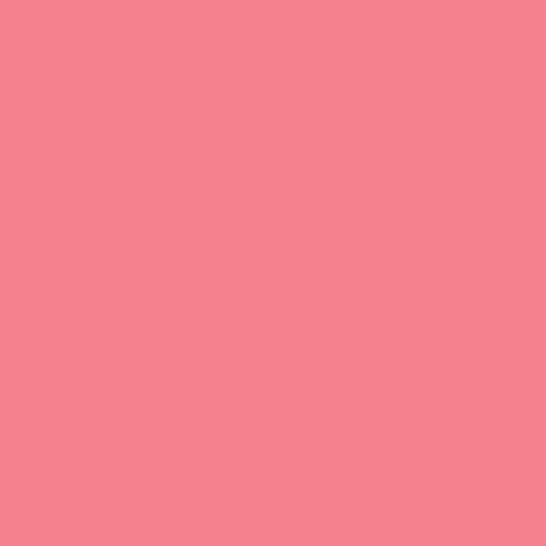 Rosco #31 Filter - Salmon Pink - 20x24