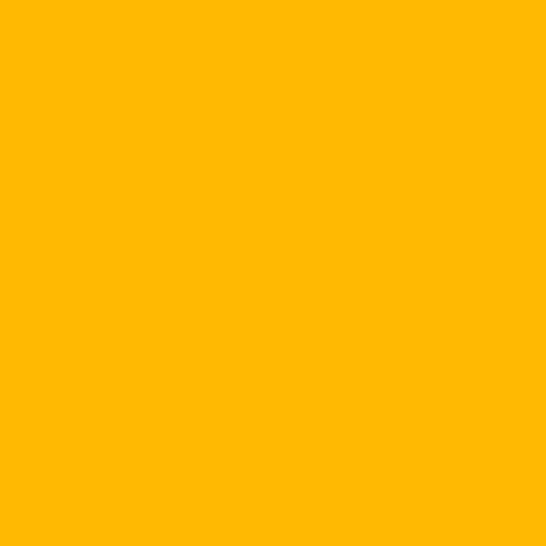 Rosco #312 Canary Fluorescent Sleeve T12 110084014812-312, Rosco, #312, Canary, Fluorescent, Sleeve, T12, 110084014812-312,