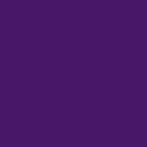 Rosco #49 Filter - Medium Purple - 24
