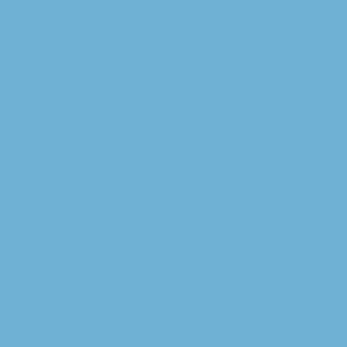Rosco #60 No Color Blue Fluorescent Sleeve T12 110084014812-60