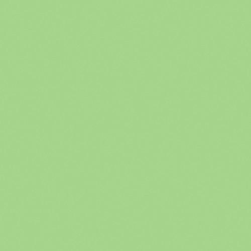 Rosco #88 Filter - Light Green - 20x24