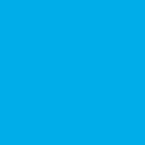 Rosco E-Colour #196 True Blue (48