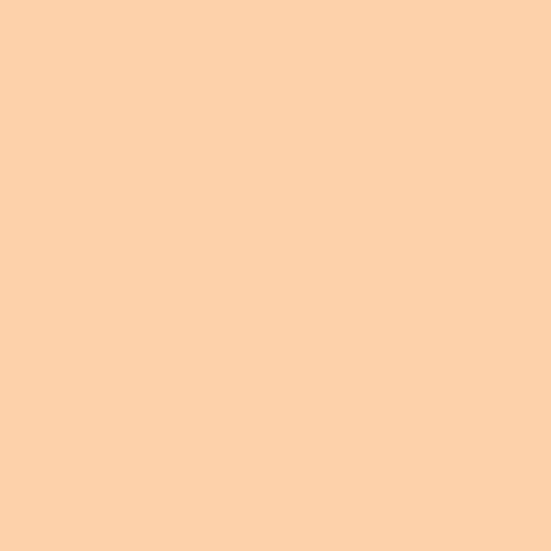 Rosco  E-Colour #205 1/2 CT Orange 102302052124
