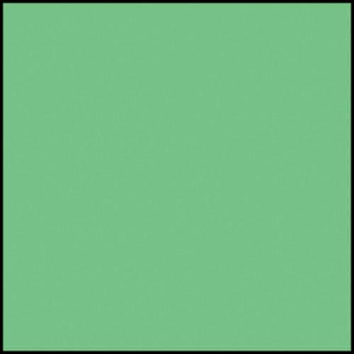Rosco Permacolor - Industrial Green - 2x2