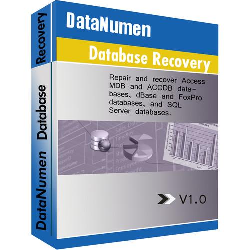 DataNumen Advanced Database Recovery (Download) ADBRFULL, DataNumen, Advanced, Database, Recovery, Download, ADBRFULL,