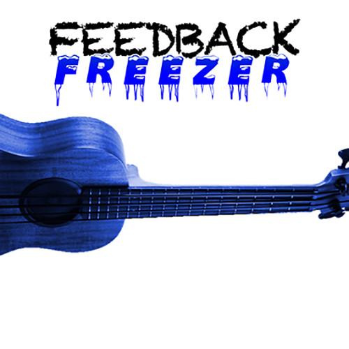 KALA Feedback Freezer for Acoustic U-Bass UBASS-FF