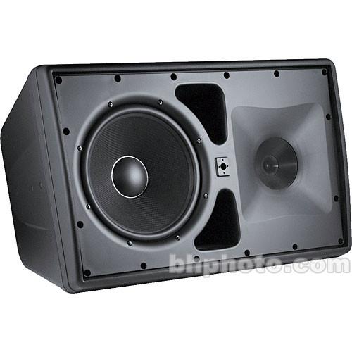 JBL Control 30 3-Way Indoor/Outdoor Loudspeaker CONTROL 30
