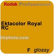 Kodak Ektacolor Royal Generations 12