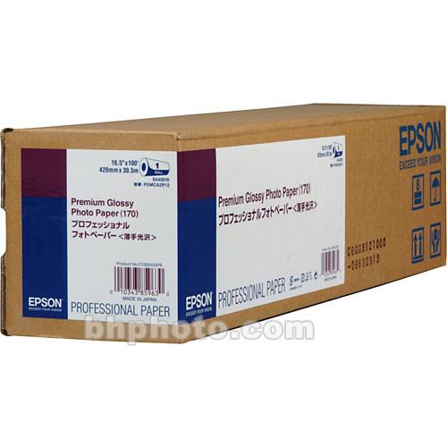 Epson Premium Glossy Photo Inkjet Paper 170 S042076