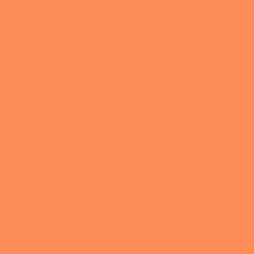 Rosco #317 Filter - Apricot - 20x24
