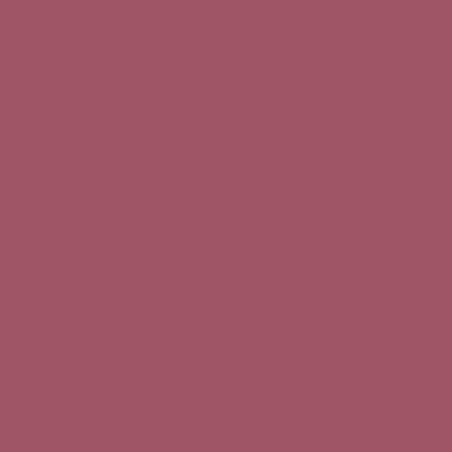 Rosco E-Colour #127 Smokey Pink (48