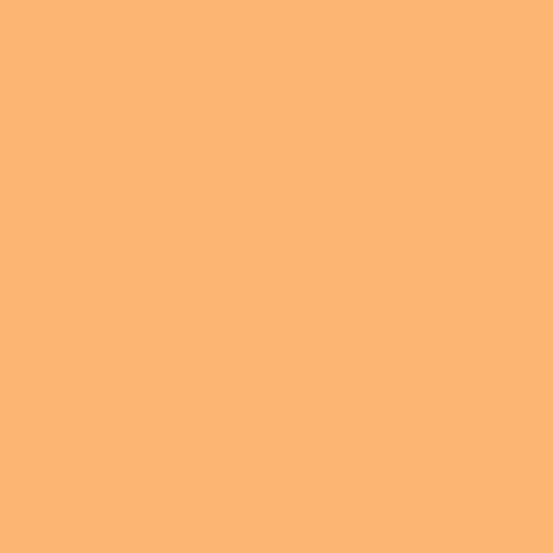 Rosco  E-Colour #204 Full CT Orange 102302044825