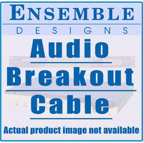 Ensemble Designs  Audio Breakout Cable BEAC, Ensemble, Designs, Audio, Breakout, Cable, BEAC, Video