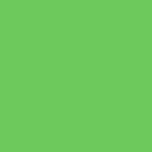 Rosco CalColor #4460 Filter - Green (2 Stops) - 100044602425