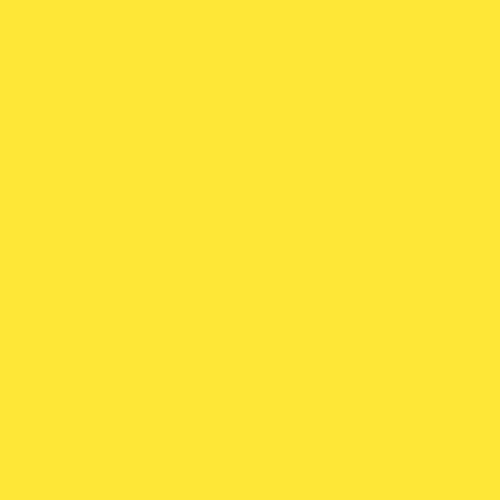 Rosco Roscolux #313 Light Relief Yellow - 100003132024