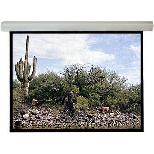Draper Silhouette/Series M Manual Front Projection Screen 202162