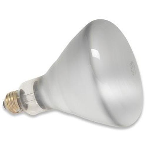 General Electric R40 Reflector Spot Lamp - 300 Watts/120 21197