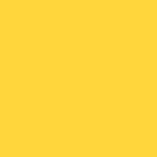 Rosco #313 Light Relief Yellow Fluorescent 110084014812-313