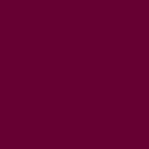 Rosco  E-Colour #049 Medium Purple 102300494825