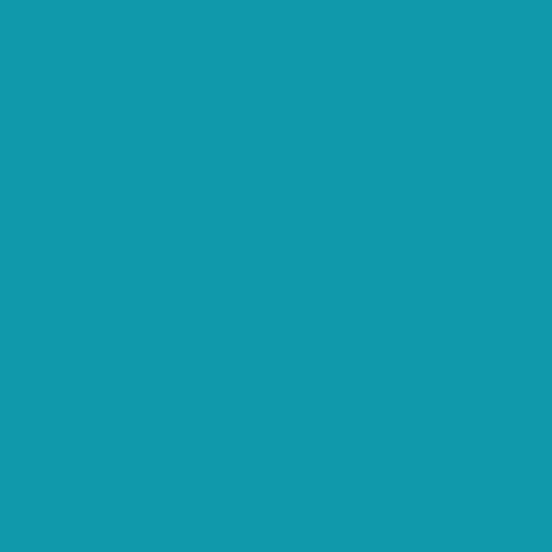 Rosco E-Colour #241 Fluorescent (5700K) 102302412124