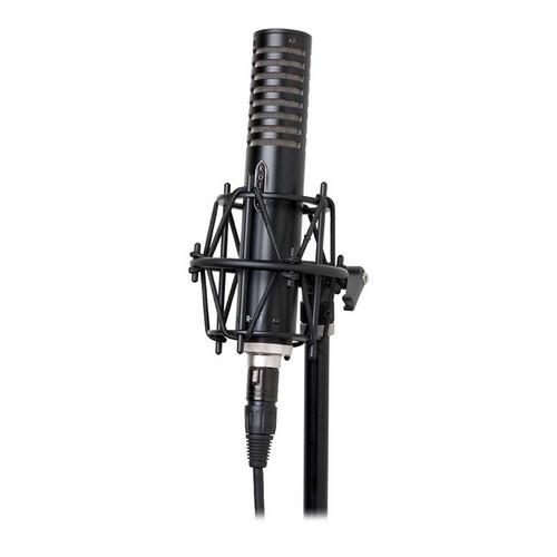 Royer Labs  R-101 Ribbon Microphone R-101, Royer, Labs, R-101, Ribbon, Microphone, R-101, Video